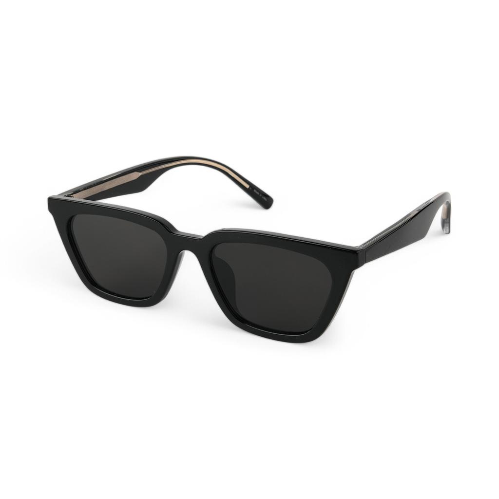 Adije Tegan (Black-Smog) Rv1009 Sunglasses