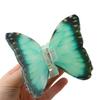 Summer Butterfly Hair Clip Acrylic Hair Claw Fashionable Hairpin Elegant Hair Accessory Girls Hair Ornament for Women