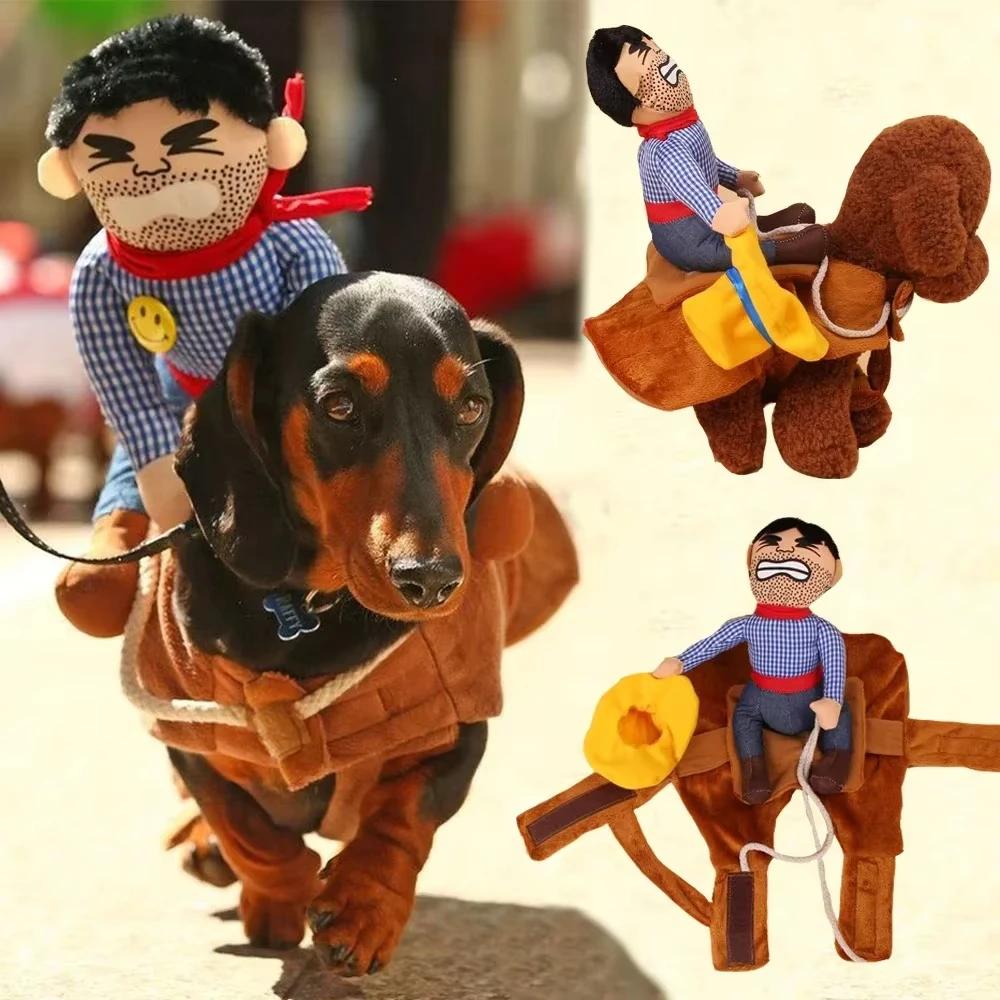 Pet funny horseback riding transformation costume, cowboy knight, golden retriever Teddy, creative sand sculpture and funny dog