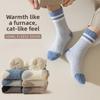 2 Pairs Coral Fleece Socks for Men, Mid-calf  for Autumn and Winter, Fleece and Thickened Floor Socks, Color-blocking Warm Home Sleeping Long Socks