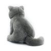 Realistic British Shorthair Cat High Fidelity Cute Plushie Felinae Plush Toys Lifelike Animals Simulation Stuffed Doll Kawai Toy