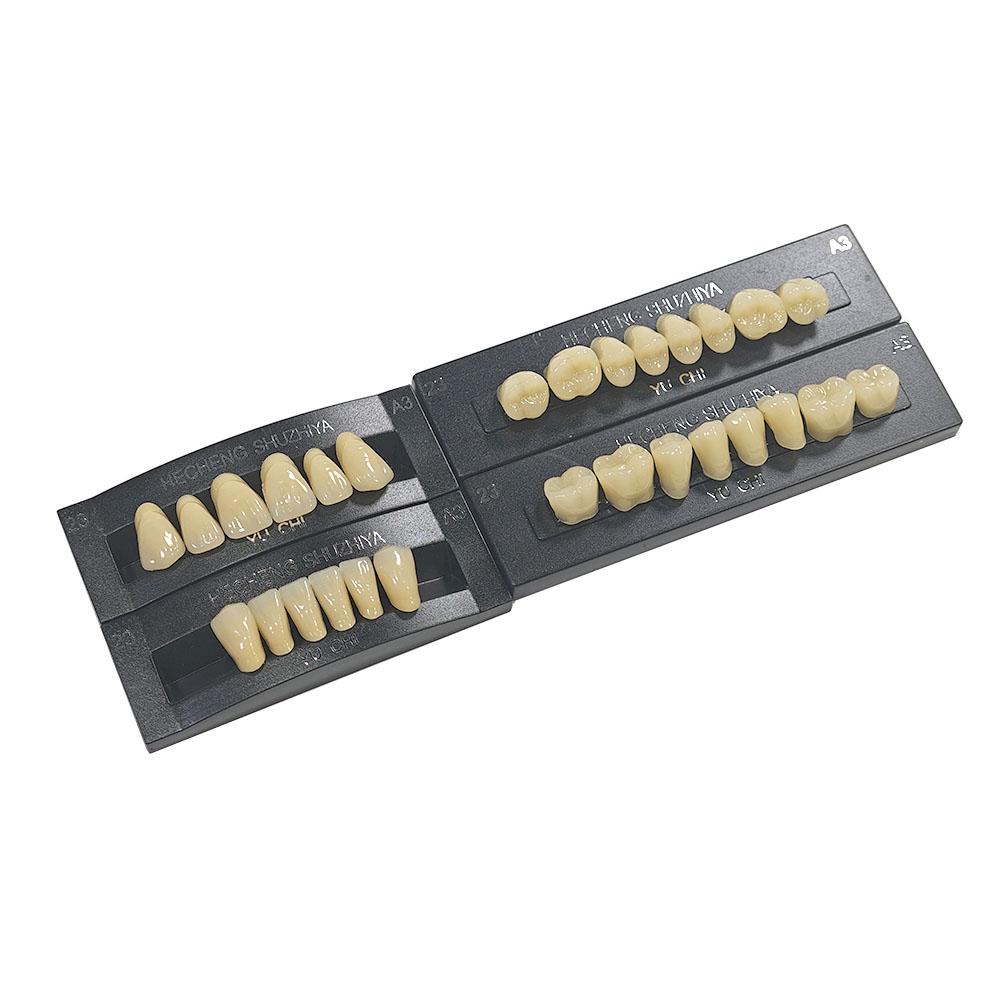 5 Sets/Box Dental Acrylic Resin Teeth 2 Layers Denture 28*1 Full Mouth S/M/L A2 A3 Stability Dentistry Material
