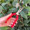 Pruning Shear Branch Scissors Stainless Steel Non-Slip Handle Sharp Garden Fruit Tree Pruning Very Sharp Garden Tools