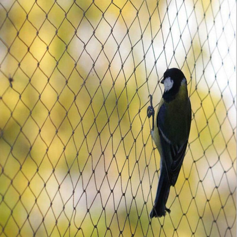 

Flower Anti Bird Netting Caring Anti-Bird Cover Gardening birds Catching 5*10M