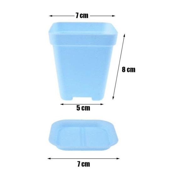 Yousheng 24 Stück mehrfarbige Mini-Grünpflanzen-Blumentöpfe aus Kunststoff mit Tablett für Garten und Heimdekoration