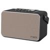SACCVH S6Pro Portable Instrument Amplifier (CN version)