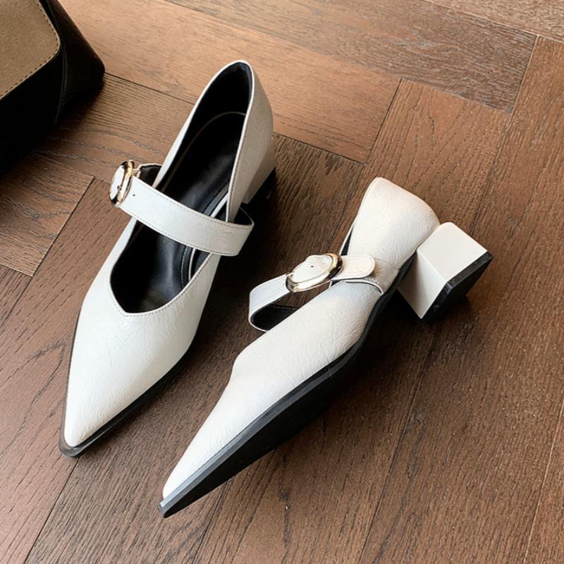 Fashion Spring New Mid-heel Shoes Women's Fashion Pointed Head Shallow Mouth with Metal Buckle Non-slip Wear-resistant Single Shoes