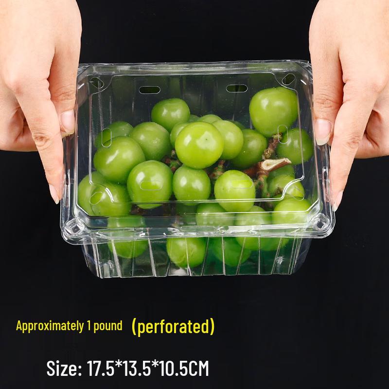 Rectangular Disposable Plastic Takeaway Container with Lid