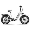 Maxturn Verve Elektrofahrrad für Erwachsene 250W Motor 48V 13Ah Akku 20 Zoll Geländereifen Elektrofahrrad