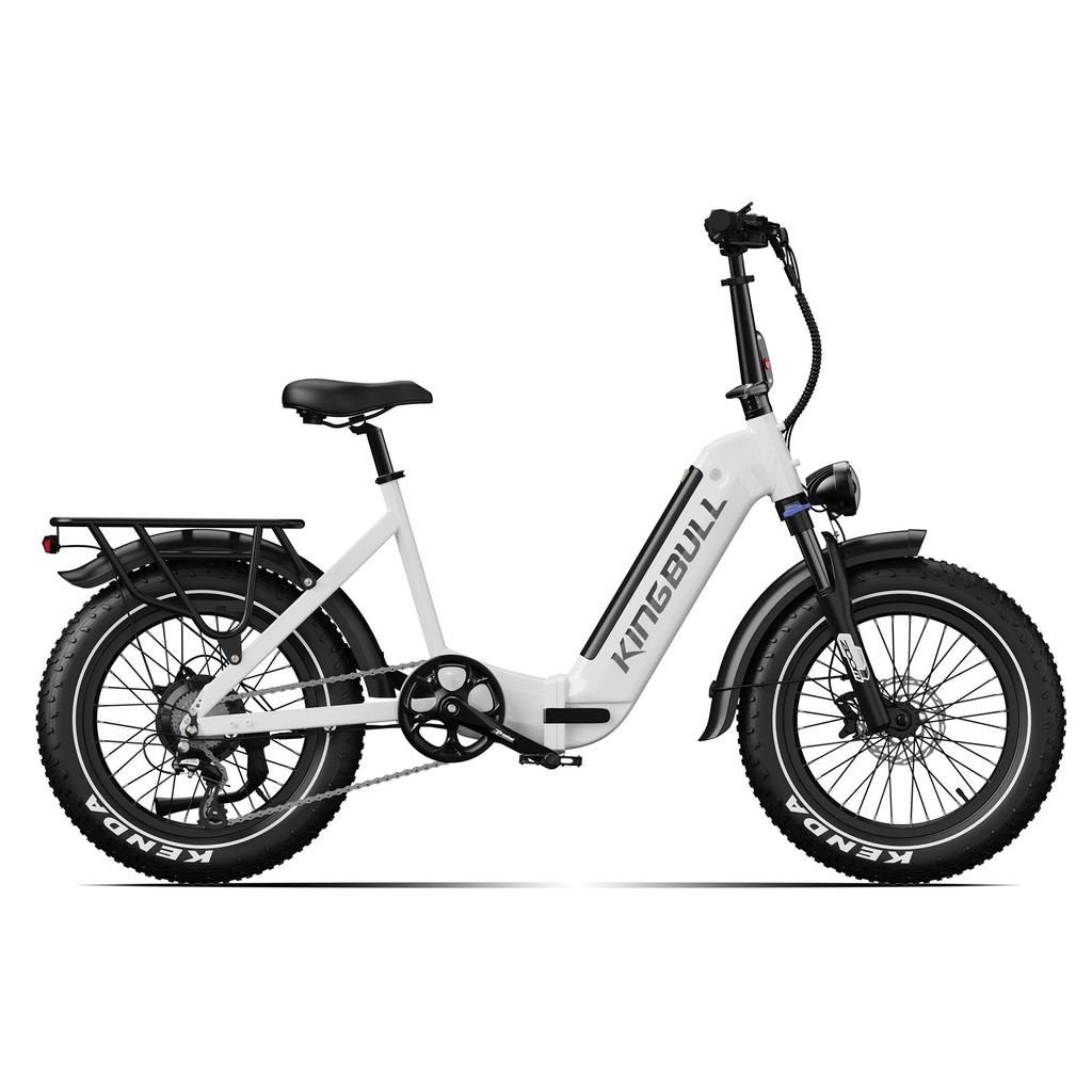 Maxturn Verve Elektrofahrrad für Erwachsene 250W Motor 48V 13Ah Akku 20 Zoll Geländereifen Elektrofahrrad