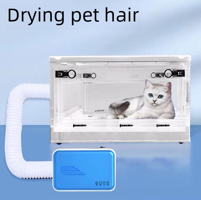 European Standard 110V Multi-Functional Dryer: For Shoes, Gloves, and Pet Mite Removal