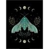Episodic Drawing Luna Moth Print