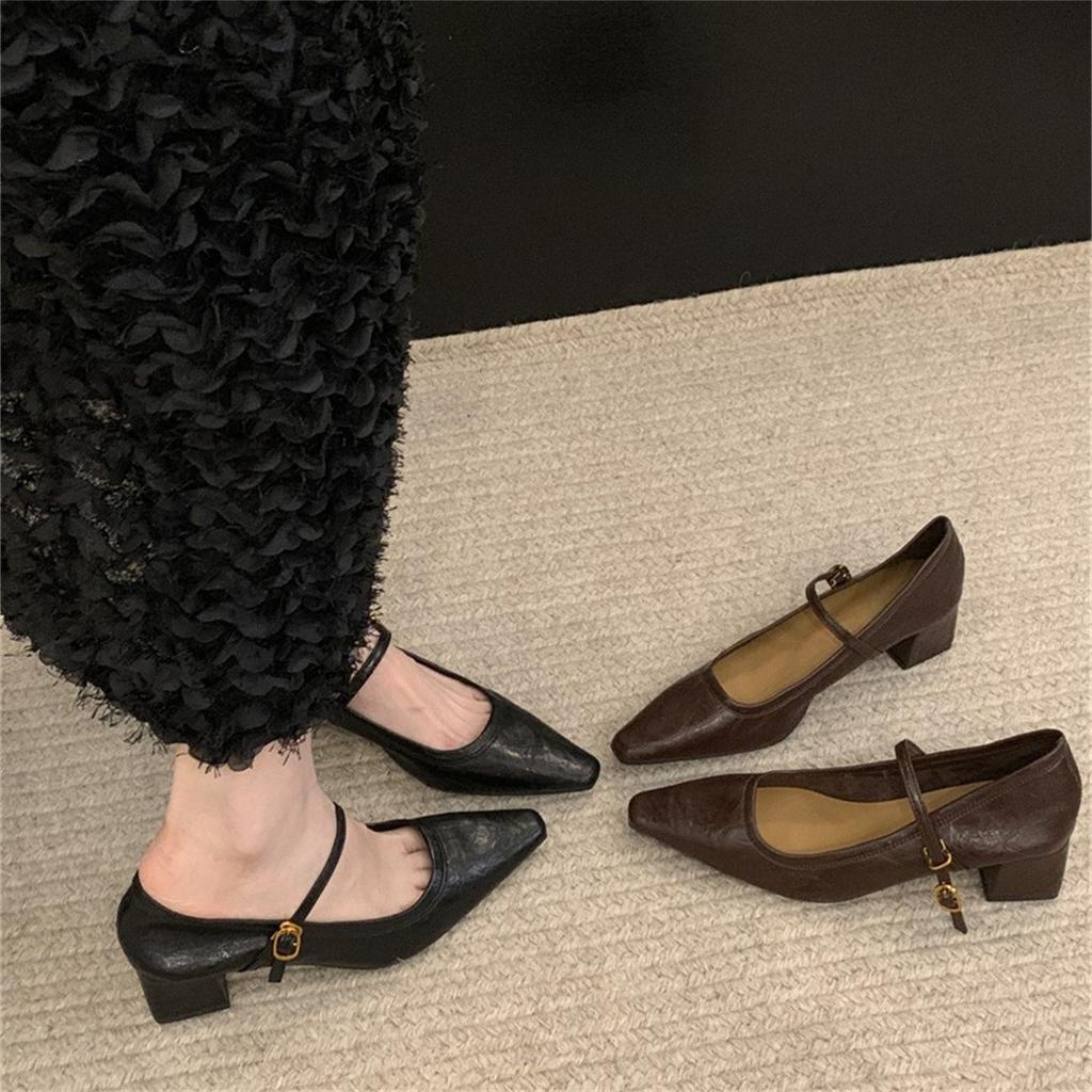 High-heeled Mary Jane shoes pointed toe shallow mouth spring 2025 new thick heel French with skirt temperament single shoes women's shoes