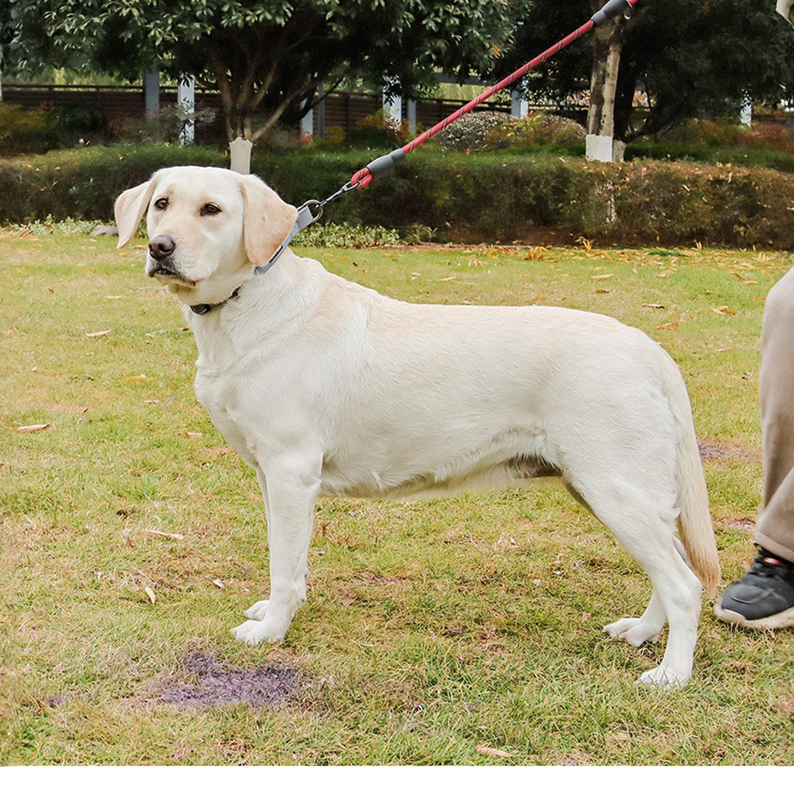 

Plutus Pet Rope Dog Leash 6ft Long,Traffic Padded Two Handle,Heavy Duty,Reflective Double Handles for Control Safety Training one size червоний