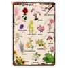 Funny Plants Metal Tin Sign Vintage English Flowers Retro Fruits Butterflys Animals Wall Poster Home Plates WY