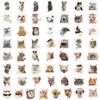 57 Autocollants Mignons Émoji Chat Imperméables pour Décoration - Style Célébrité Internet pour Bouteilles d'Eau, Ordinateurs, Téléphones et Projets DIY.