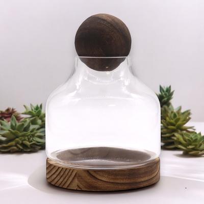 Terrarium, Średnia Kula z Drewna Tungowego
