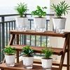 Self-Watering Flowerpot Self-absorbent Cotton Rope Flowerpot Transparent Double Layer Planter Flowerpot for Office Table Decor