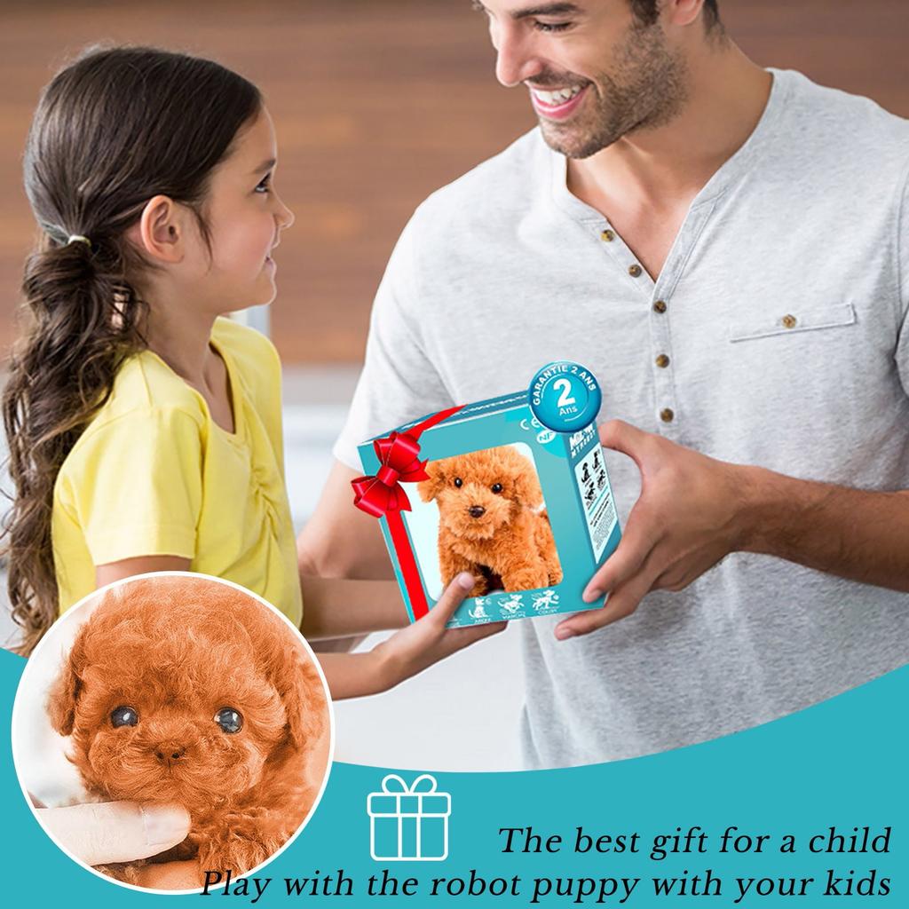 Cute Plush Doll Toy Gift Cartoon Children's Rag Doll Doll