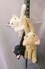 Shinada Daranyan Chashiro 7 X 15 X 20 Cm Stuffed Animal Goods DRNC-0198