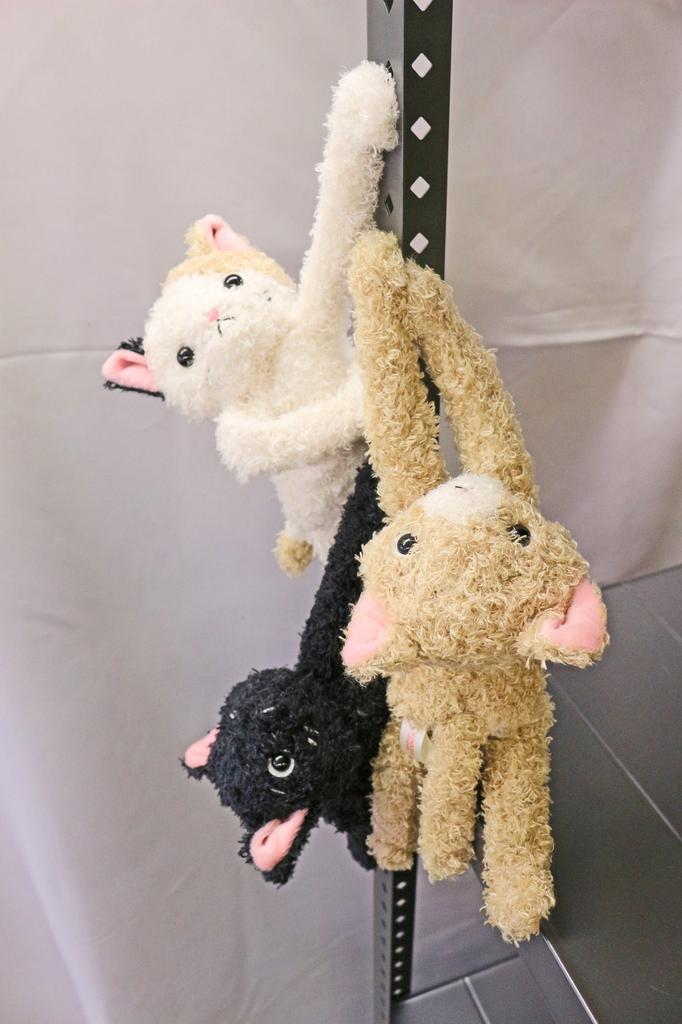 Shinada Daranyan Chashiro 7 X 15 X 20 Cm Stuffed Animal Goods DRNC-0198