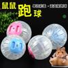 Hamster Supplies: Toys, Exercise Balls