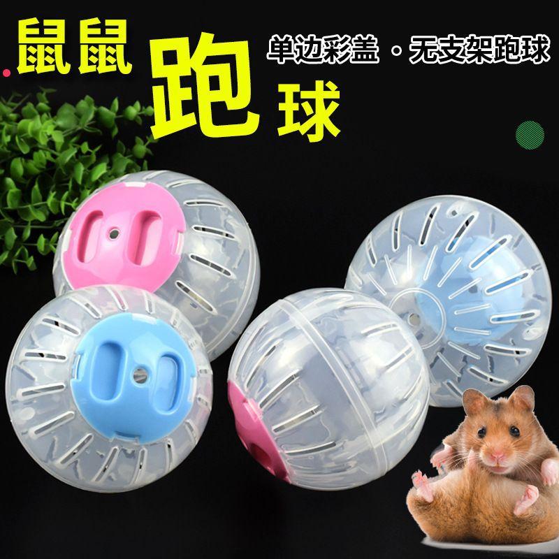 Hamster Supplies: Toys, Exercise Balls