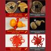 Genuine Copper Five Emperor Coins Feng Shui Hanging Ornament, Handmade Red String Door to Door Evil Protection Home Car