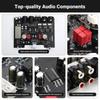 Power amplifier aiyima T20