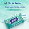 Tempo Sanitizing Wipes