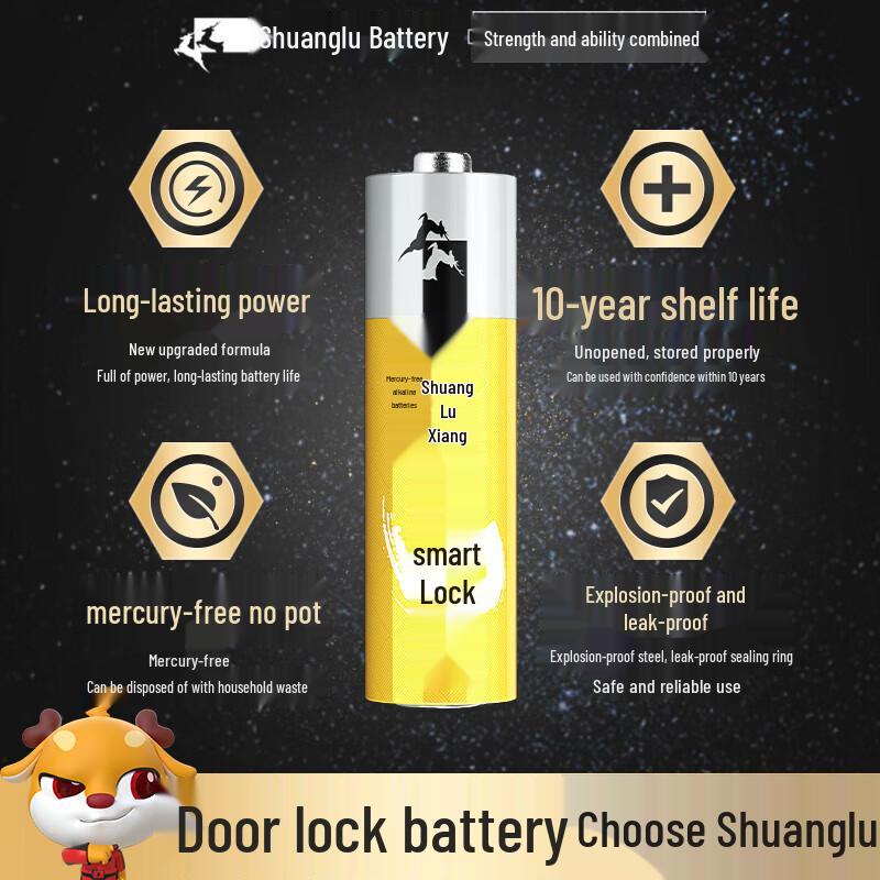 Shuanglu AA Alkaline Batteries for Smart Locks CN plug (adapter included)