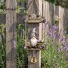 Pastoral Garden Entrance Decor Wooden Gnome Door Hanger with Bell, Country Welcome Sign Farmhouse Style Swing Wall Plaque, Hanging Ornament for Porch