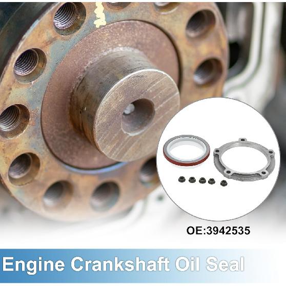 Front Crankshaft Oil Seal No.3942535 Main Seal for ISC ISL C8.3 8.3C 6C 6CT 8.3L