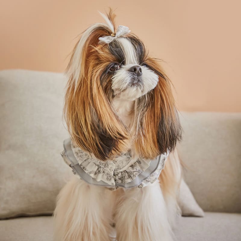 CAHIERS Stufenspitzenrüschen Französisches Kleid