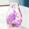 Mini Glass Decorative Bottle with Dried Flowers Compact Transparent Floral Ornament for Desk Bedside Window Sill Double Wall Hydroponic Vase Home