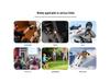 S11 Portable 4G Wireless HD Outdoor Sports Recorder with Extended Standby