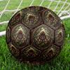 Steampunk Tarantula Artwork Round Football Size 5 Adult Ball Suitable for Training Matches and Outdoor Team.