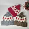 Autumn and Winter New Fair Island Wind Hairball Wool Hat Cold-proof and Warm Ear Protection Knitted Hat Fashionable Versatile Pullover Hat