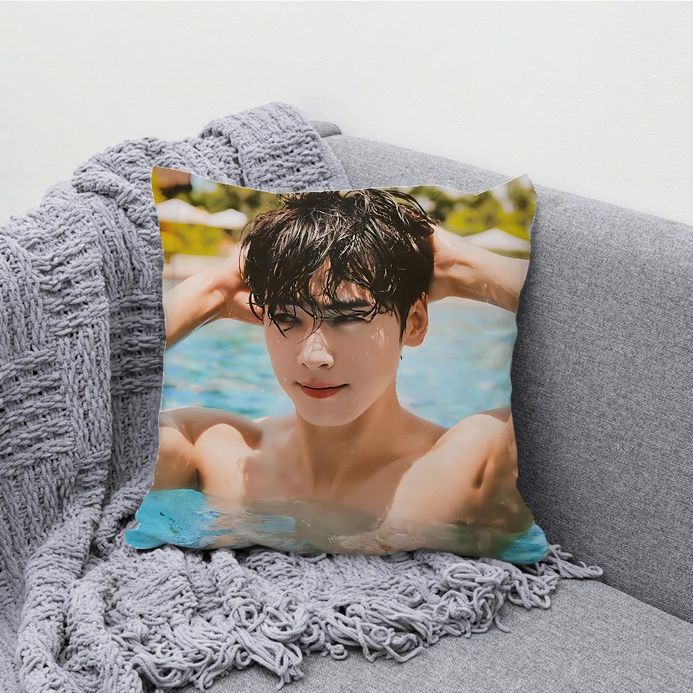 Korea Actor C-Cha Eun W-Woo Pillow Case Soft Cushion Cases for Farmhouse Sofa Decor Home Decorations and Protector Pillow Case