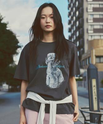 Hauts – T-shirts
