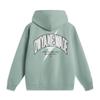 Li Ning Wade Series Comfortable Versatile Letter Printed Hoodie Men Hoodies Gray Green AWDU291-8