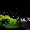 Durable for Fish Tank Acrylic Fish Feeding Bowl Fish Feeding Dish Shrimp Feeder Shrimp Food Box