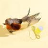 Sounding Catnip Cat Teaser Toy Self-hilarity Wall Hanging Birds Cat Toy Indoor Interactive Birds Toy for Cat Chasing Teasing Toy
