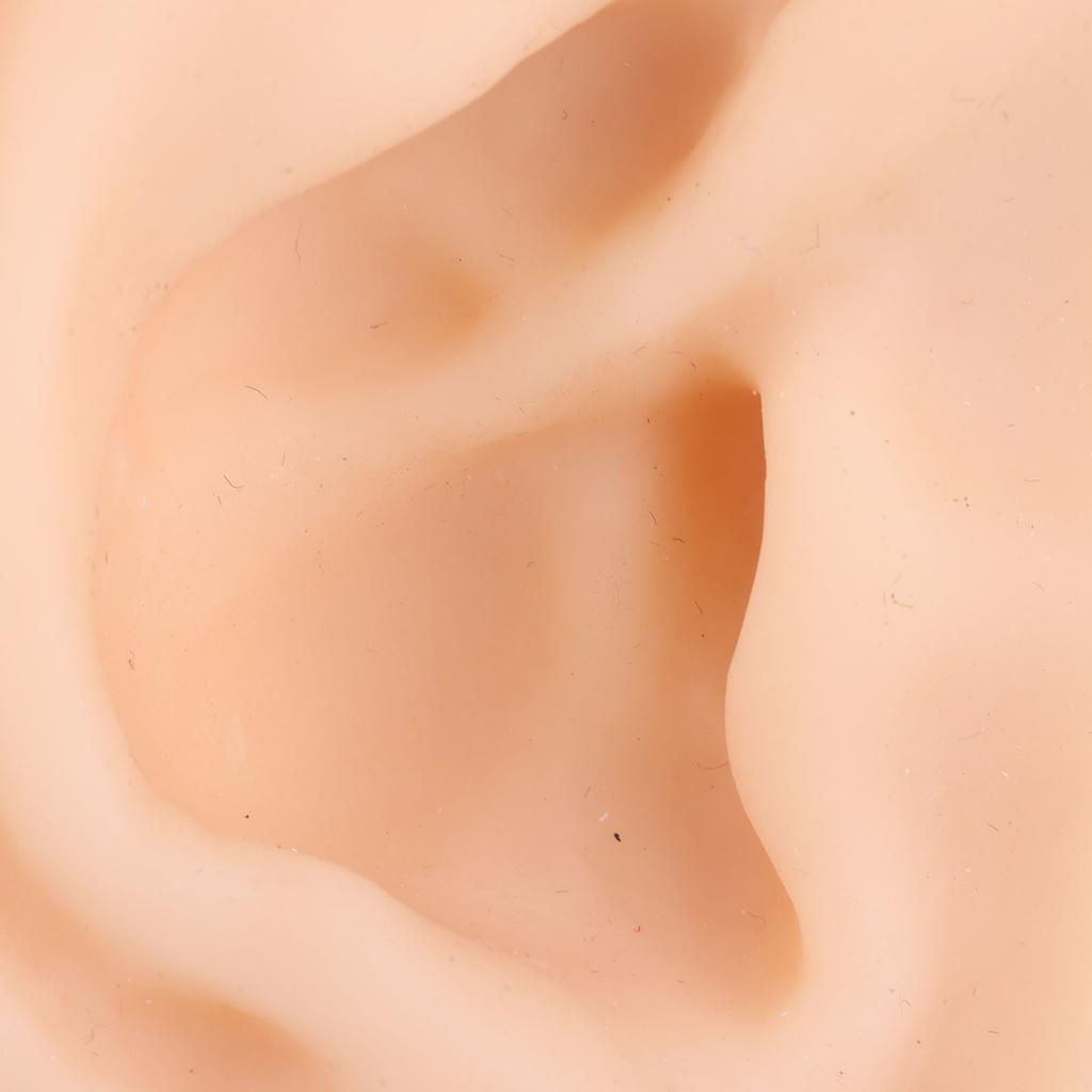 Soft Silicone Ear Model Simulation Ear Acupuncture Practice Model for Hospital Display