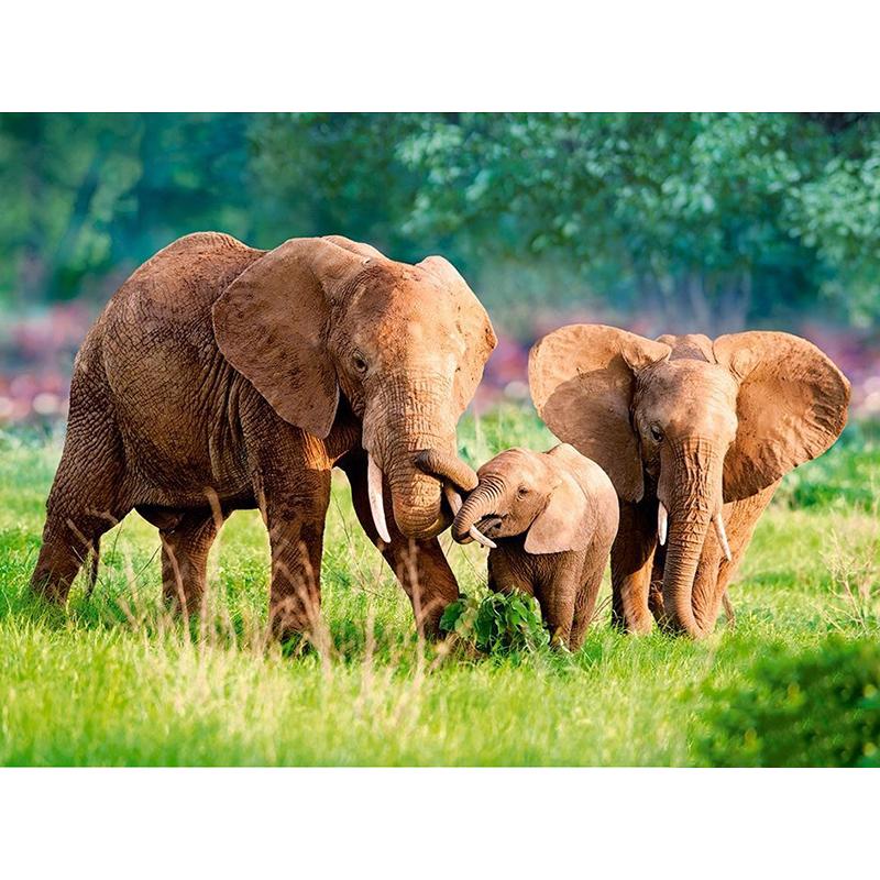 New DIY 5D Diamond Painting Elephant Diamond Embroidery Animal Cross Stitch Full Round Drill Mosaic Art Home Decor Gift
