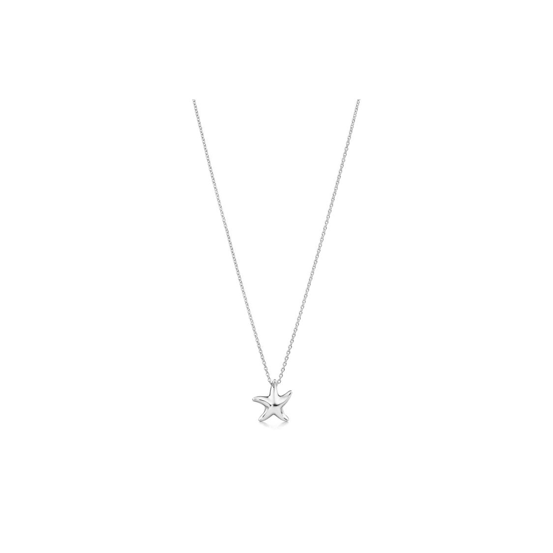 

Tiffany & Co. Ельза Перетті® Кулон Морська зірка Срібний ланцюжок Унісекс ланцюжок 26195248 Silver,F