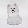 1 Piece Puppy Hair Transparent Storage Box Bag Dog Hair Hair Storage Capsule Pendant Charm Pet Collection Decoration Souvenirs