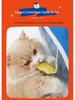 FULED Collapsible Two-Way Crinkle Cat Tunnel: Interactive Kitten Toy Tunnel