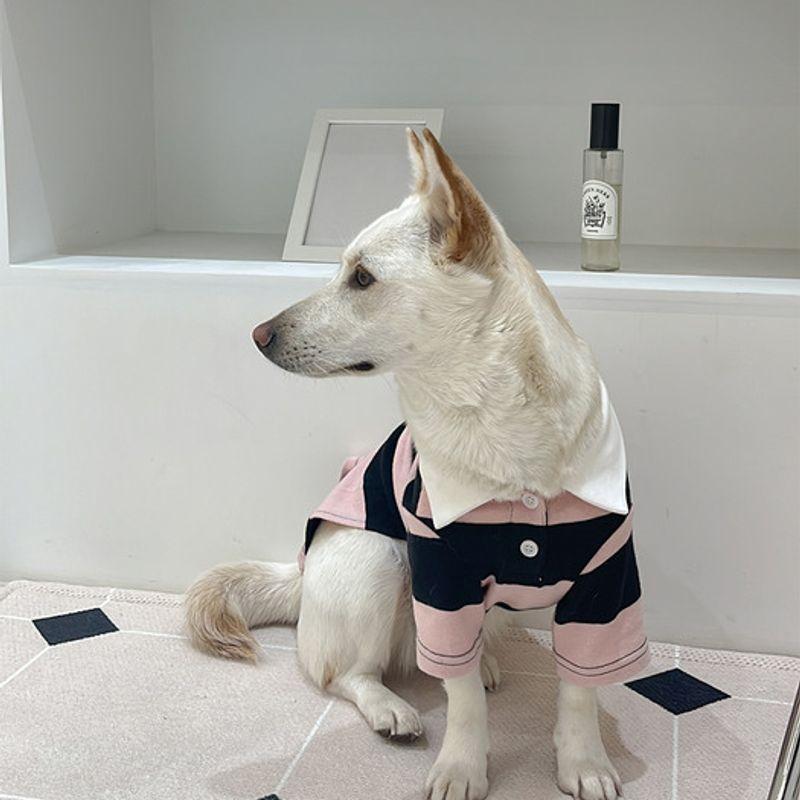 BARKDOG Rugby Stripe PK Carat