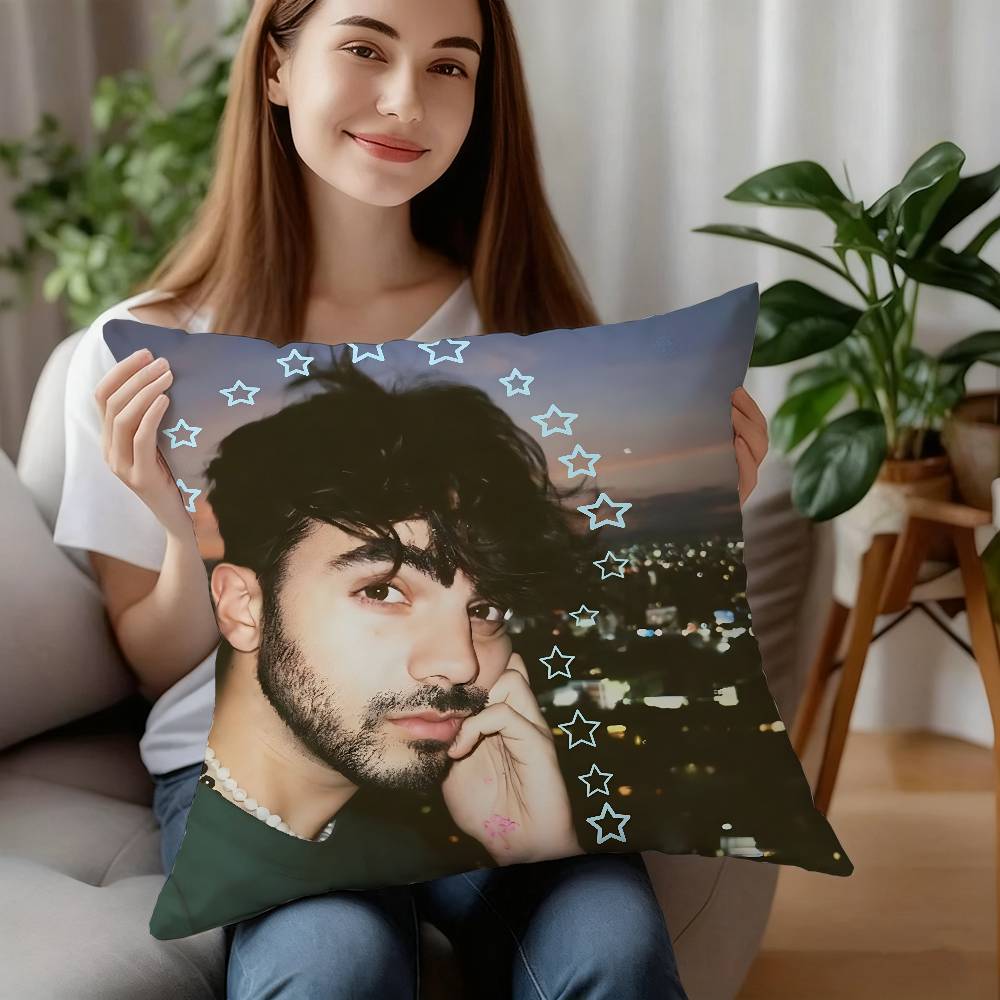 Internet Celebrity Fede V-Vigevani Pillow Case Plush Fabric Soft Pillowcase Double Sided Print Cushion Cover Household Gifts